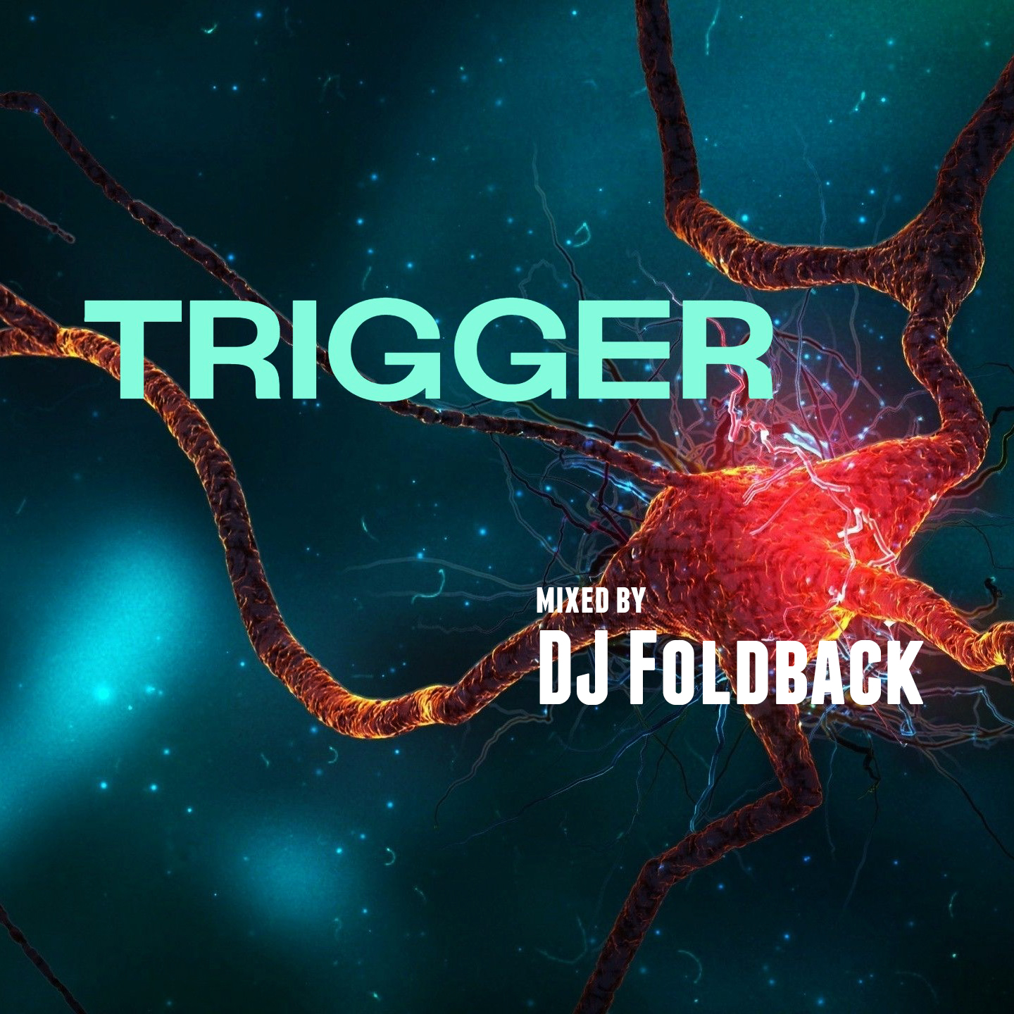 DJ Foldback - Trigger
